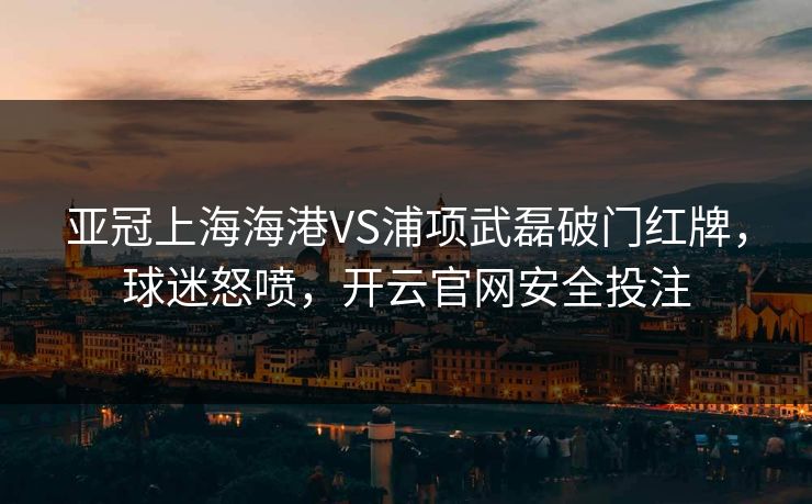 亚冠上海海港VS浦项武磊破门红牌，球迷怒喷，开云官网安全投注