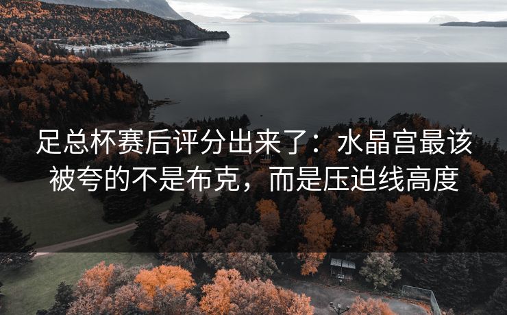 足总杯赛后评分出来了：水晶宫最该被夸的不是布克，而是压迫线高度